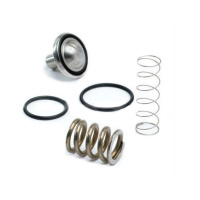 Рем. Комплект клапана минимального давления 212.00224